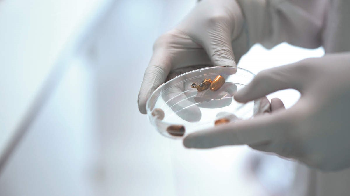 Deciphering RNA to solve impossible crime scenes
